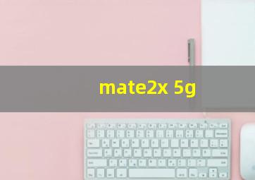 mate2x 5g